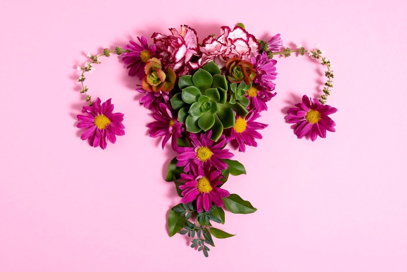 imgi 8 sistema reproductivo plano flores 23 2149703409